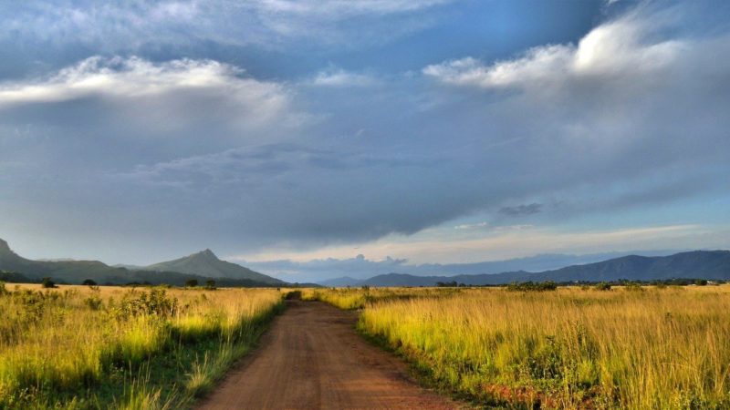 Ezulwini Valley – Tipps rund um das Mlilwane Wildlife Sanctuary in Swaziland